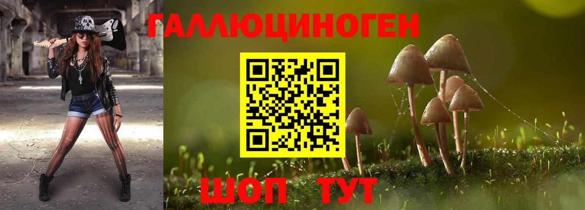 Псилоцибиновые грибы Magic Shrooms Протвино