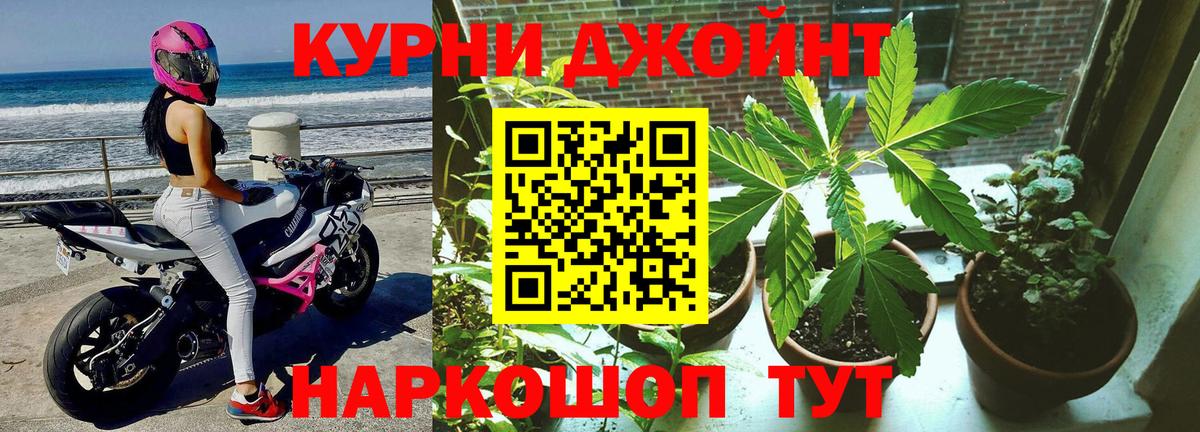 Протвино  Бошки Шишки марихуана  Каннабис планчик  Вход с VPN 
